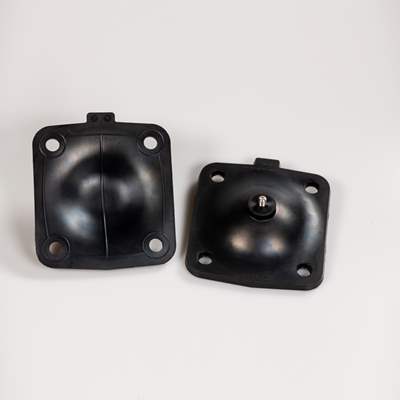 DD25-SIIR-sized